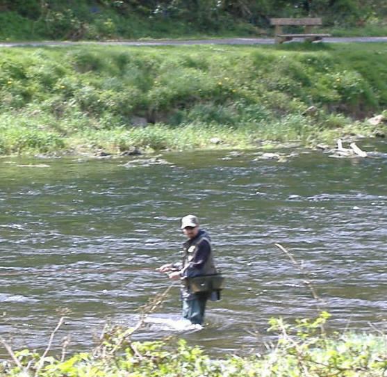 April 2008 River Suir